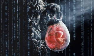 Illustration for article titled